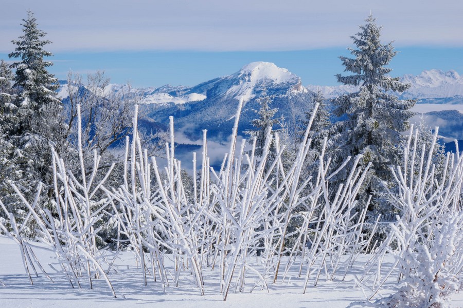 Accueil rando 2 2026