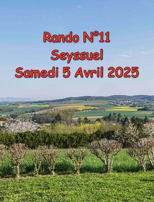RandoN11